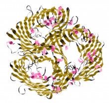 The Zetasizer Nano measures particle size, zeta potential and molecular weight of colloids, nanoparticles and proteins